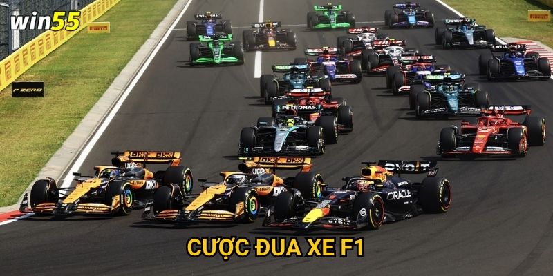 Cường độ cược đua xe F1 Win55 có phù hợp với tốc độ cuộc đua không?