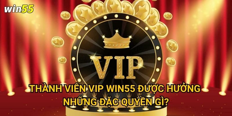 Làm sao để trở thành thành viên VIP Win55? 2 Thành viên VIP Win55 được hưởng những đặc quyền gì?